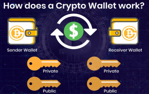 Crypto waller, private and public keys